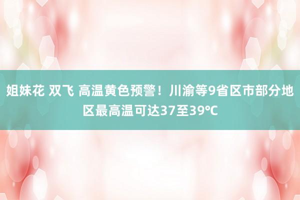姐妹花 双飞 高温黄色预警！川渝等9省区市部分地区最高温可达37至39℃