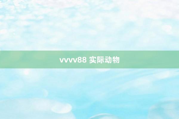 vvvv88 实际动物