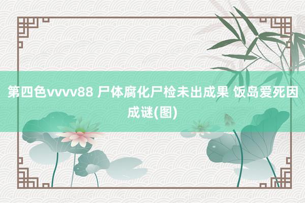 第四色vvvv88 尸体腐化尸检未出成果 饭岛爱死因成谜(图)