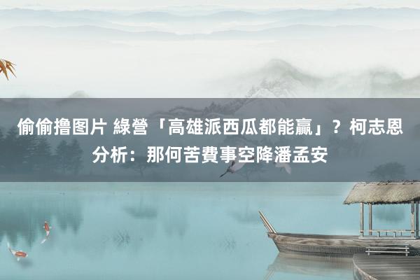 偷偷撸图片 綠營「高雄派西瓜都能贏」？　柯志恩分析：那何苦費事空降潘孟安