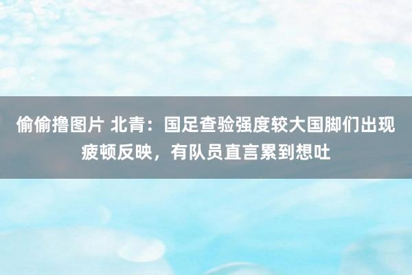 偷偷撸图片 北青：国足查验强度较大国脚们出现疲顿反映，有队员直言累到想吐