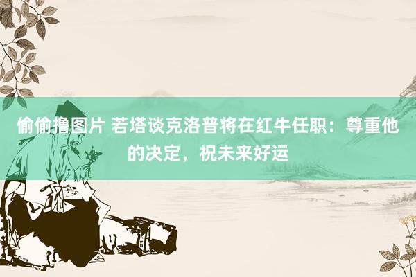 偷偷撸图片 若塔谈克洛普将在红牛任职：尊重他的决定，祝未来好运