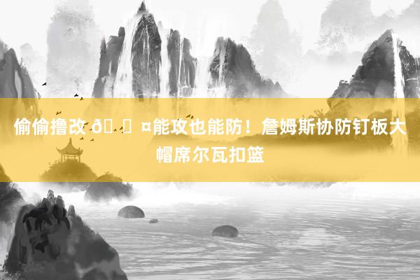 偷偷撸改 😤能攻也能防！詹姆斯协防钉板大帽席尔瓦扣篮